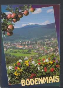 Germany Postcard - Hohenluftkurort Bodenmais, Bayerischer Wald  T6397
