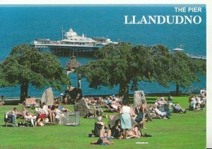 Wales Postcard - Llandudno Pier, Caernarvonshire - Ref 20876A