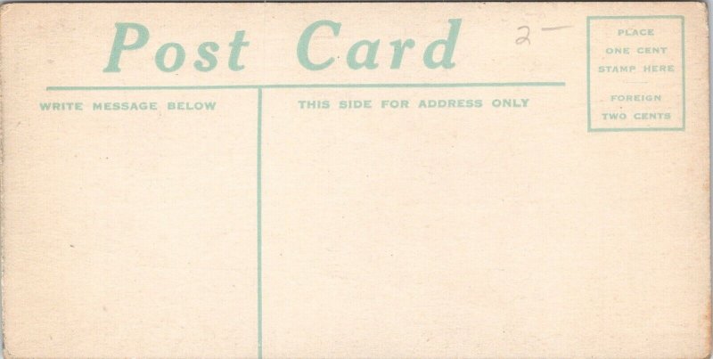 Hershey PA~Milk Chocolate Company Herd~Cows in Clover~c1910 Candy Bar Postcard