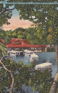 Florida Silver Springs Electric Glass Bottom Boats Leaving Docks Curteich