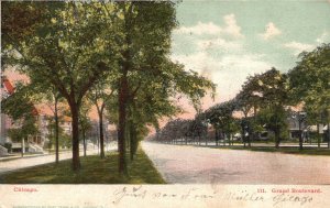 Vintage Postcard 1906 Grand Boulevard Residential Street View Chicago Illinois