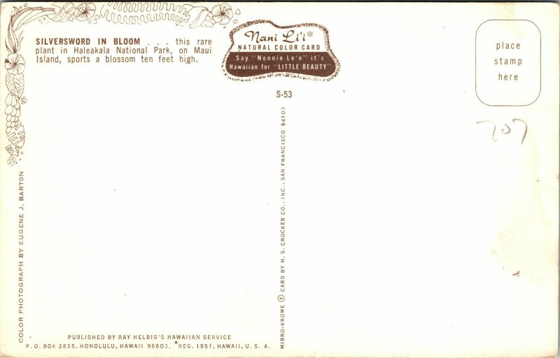 Hawaii Maui Halekala Natl Park Silversword Postcard unused 1950s