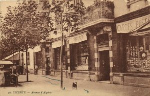 PC ALGERIA, DIZERTE, AVENUE D'ALGÃRIE, Vintage Postcard (b29352)