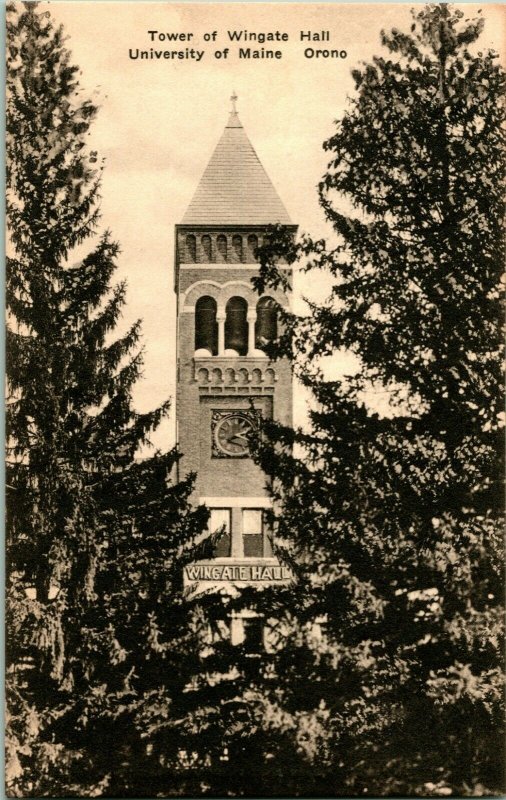 Lot of 11 Vintage University of Maine / Orono, maine Postcards 1930s-50s UNP