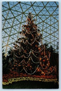 Milwaukee Wisconsin WI Postcard Christmas Show Sprice Tree Mitchell Park c1960
