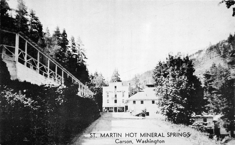 J25/ Carson Washington Postcard Chrome St Martin Hot Mineral Springs  24