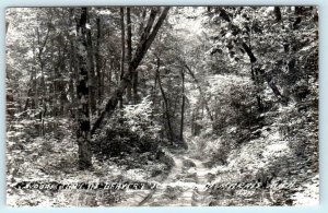 RPPC  GRAND MARAIS, Michigan MI ~ Woods Trail BEAVER JUNCTION c1940s Postcard