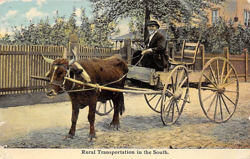 Rural Transportation in the South Horse Drawn 1912 