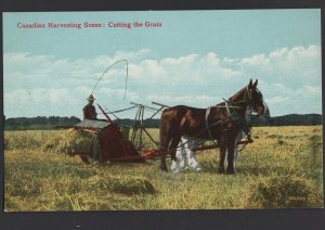 Canada Canadian Harvesting Scene - Cutting the Grain Horses by Valentine ~ DB