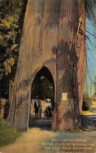 Drive-Thru Cedar Tree Bicycles Snohomish, WA 1910s Vintage Postcard