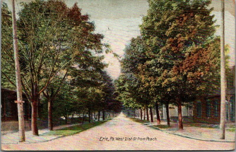 Erie Pennsylvania~West 21st Street Homes @ Peach~1910 Postcard 