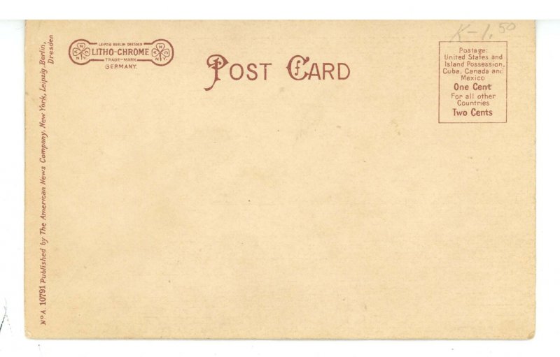 NY - Cooperstown. Lake Drive, Old Pine Trees ca 1905