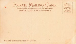 Colorado State Capitol, Denver, Colorado, 1900 Private Mailing Card, Unused 