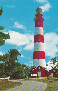 Assateague Island Lighthouse Virginia