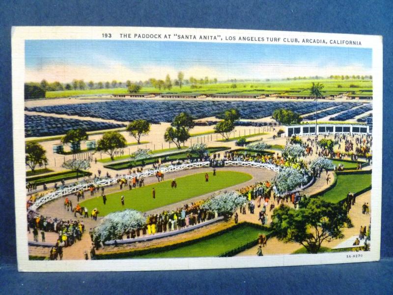 Postcard CA Arcadia  Paddock Santa Anita Horse Race Track Los Angeles Turf Club