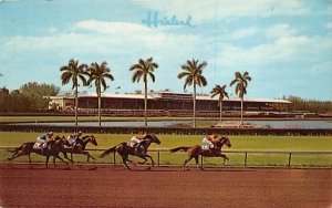 A Thrilling Race at Hialeah Racecourse Miami, Florida