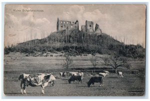 c1910 Cows Animals Scene Ruins of Scharfenhof Donzdorf Germany Postcard 