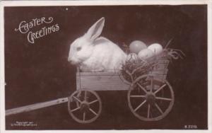 Easter Greetings Rabbit In Wagon Rotograph Real Photo