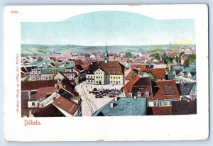 Saxony Germany Postcard Dobeln View of Building Rooftop c1905 Unposted Antique