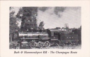 Trains Bath & Hammondsport Railroad No 11 In Bath New York