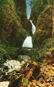 Vintage Postcard Wah-Kee-Nah Falls Waterfalls Columbia River Highway Oregon OR 