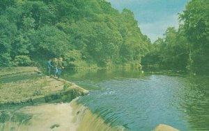 Children Fishing at Bridge Of Allan Stirling Scottish 1970s Postcard