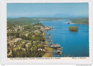 Scalloped Edge, Birdseye View, Fish Canneries, Ucluelet, Vancouver Island, Br...