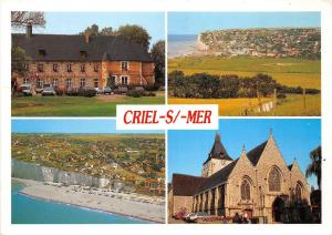 BR21766 Criel sur Mer Le manoir de Brincon   france