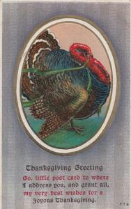 Thanksgiving Greetings - Go Little Post Card - pm 1916 - DB