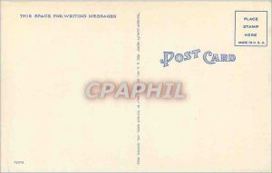 Postcard Old Alligator Egg Hatching Crocodile in Florida