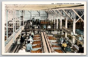 Florida Packing House Fruit With Workers Women Labor  Postcard A40
