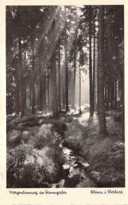 BG15217 altenau i oberharz morgenstimmung   germany CPSM 14x9cm