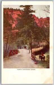 Vtg Colorado Springs CO North Cheyenne Canyon 1900s View Old UDB Postcard