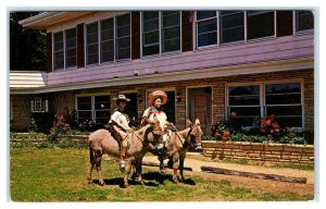 THEODOSIA, Missouri MO ~ Bull Shoals Lake JANIAN'S HOLIDAY INN Burros Postcard