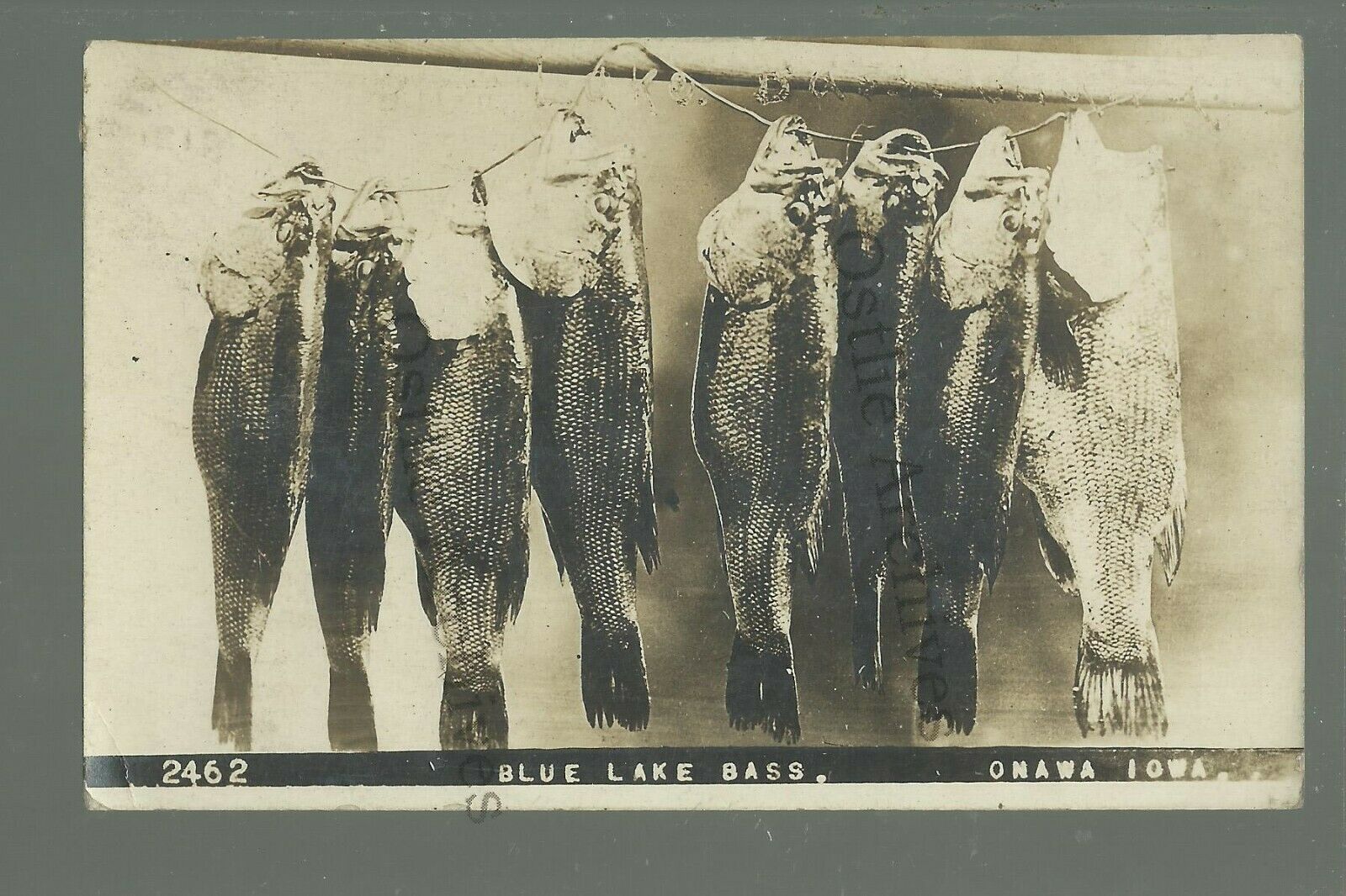 Discover the Enchanting Onawa Iowa Lake Cabins for an