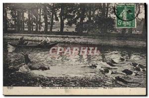 Old Postcard Hunting hounds was in the forest of Fontainebleau Bat l & # 39ea...
