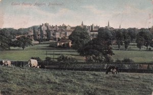 Brentwood Lunatic Asylum Psychiatric Hospital Essex Old Postcard