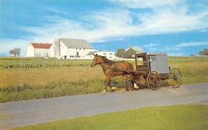 Amish Family Carriage Dutch Country, Pennsylvania PA  