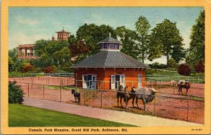 VTG Camels Park Mansion Druid Hill Park Baltimore Maryland MD Linen Postcard