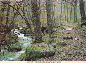 Wales Gwynedd Llwybr Y torrent Dolgellau