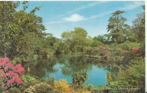 Shropshire Postcard - Dingle Gardens - Shrewsbury - J Salmon - TZ11145