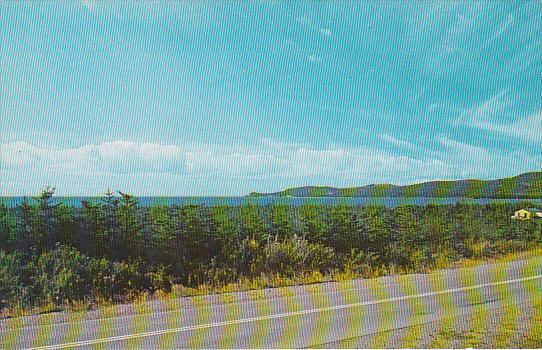 Canada Newfoundland Stephenville Crossing Lucky Point Saint Georges Bay