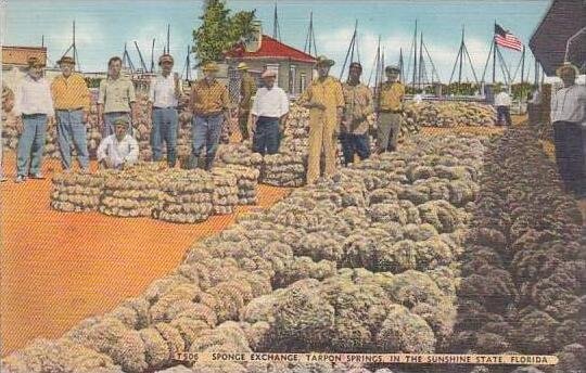 Florida Tarpon Springs Sponge Exchange In The Sunshine State