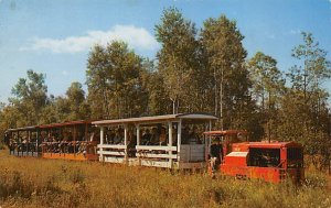  Originated In 1928 - Toonerville Trolley, Michigan MI  