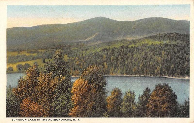 Schroon Lake New York Adirondacks Birdseye View Antique Postcard K58215