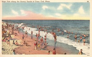 Vintage Postcard High Tide Along the Sunny Sands of Cape Cod Massachusetts MA