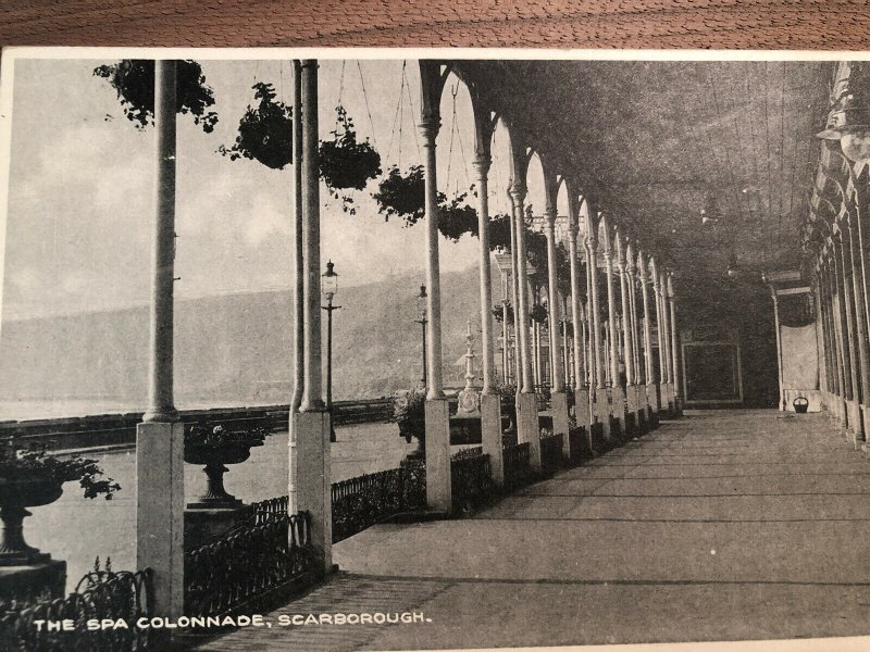 1910s Scarborough Hampers Aberdeen Walk Naval Harbour Spa Garden AD Postcard Lot