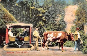 Carro de Bois Madeira Writing on back 