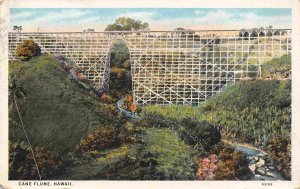 Sugar Cane Flume Hawaii 1920s postcard