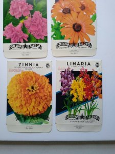 Vintage 1950's Flower Seed Packs EMPTY Lot 12 Petunia Poppy Moon African Daisy